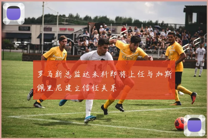 罗马新总监达米科即将上任与加斯佩里尼建立信任关系